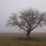 Paisajes thumbnail 2
