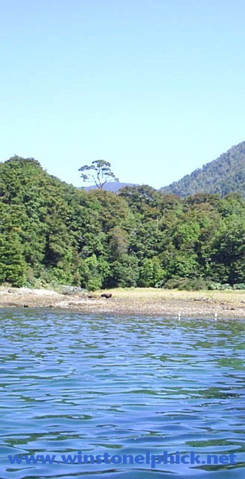 Chaitén, antes de que el fuego quemara esta hermosura