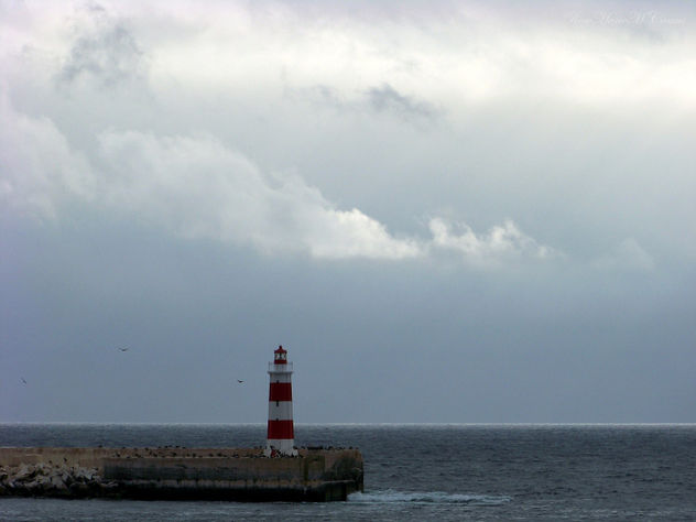 FARO...