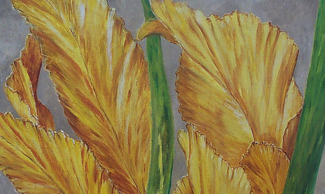 Flores