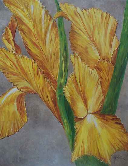 Lirio Amarillo Oil Canvas Floral Painting