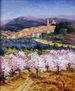 Ametllers florits