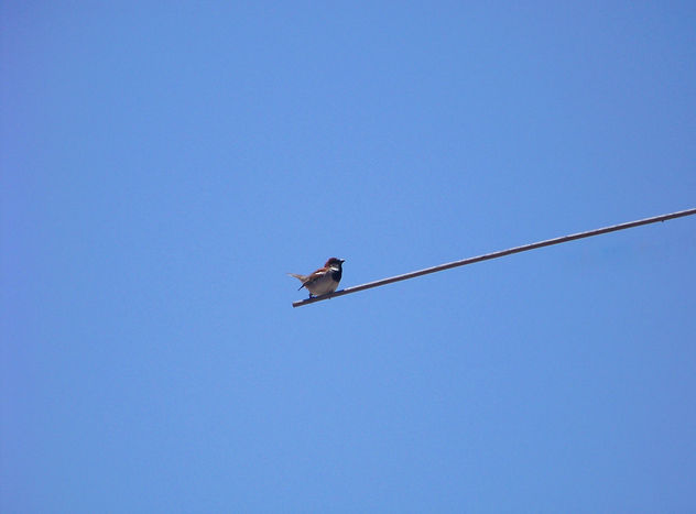 EL EQUILIBRISTA...