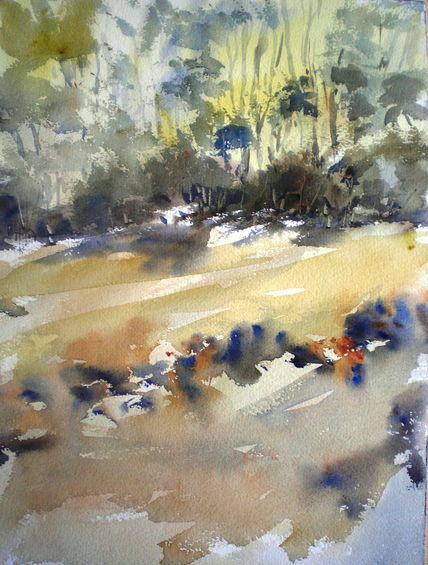 Agua en el bosque
