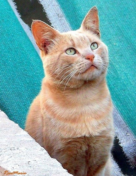 These eyes...