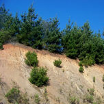 PAISAJES CON AROMA... thumbnail 2