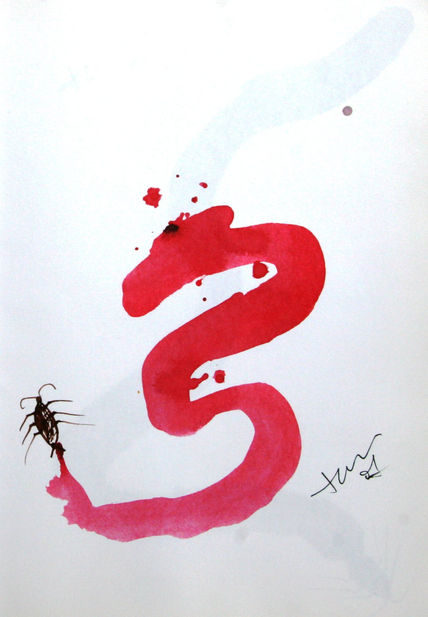 Insecto