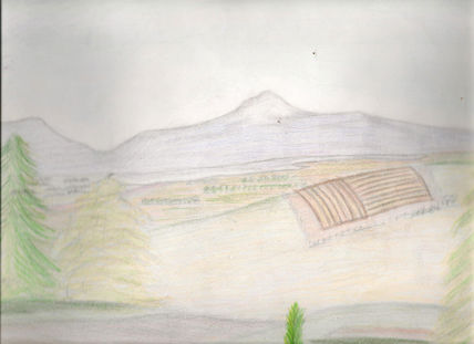 El campo