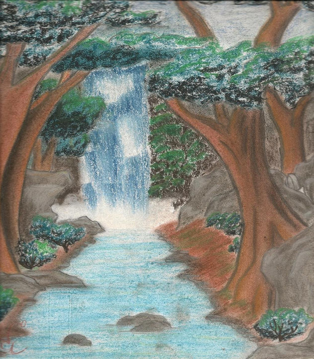 el bosque el rio