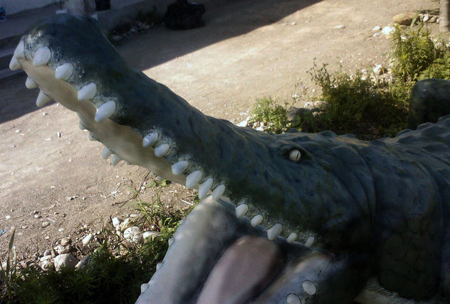 croc