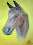caballo