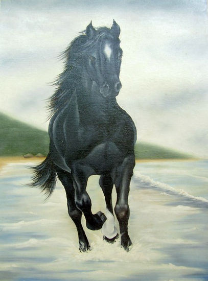 Caballo salvaje Oil Canvas Animals