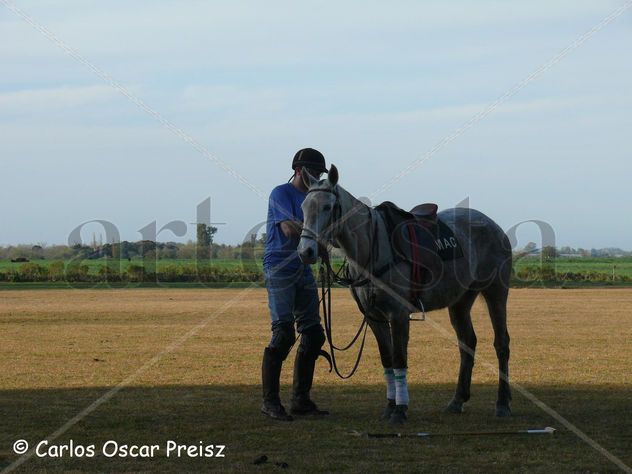 POLO 7