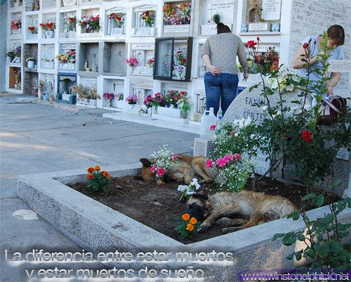 Muertos de sueño 