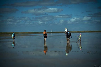 Reflejante