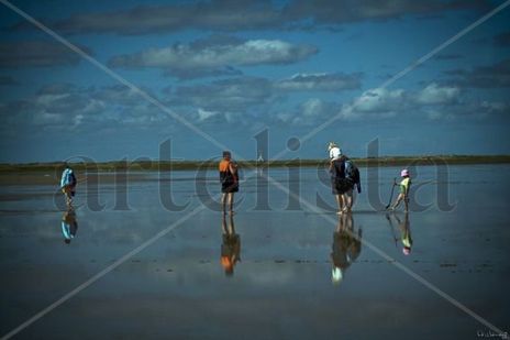 Reflejante