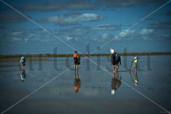 reflejante