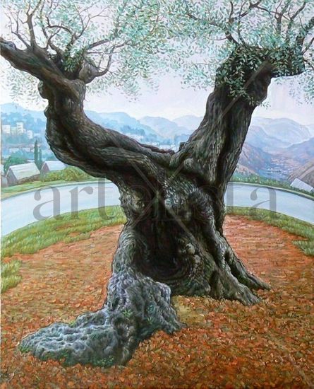 Memorias de un árbol Óleo Lienzo Paisaje