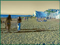 paseando en la playa