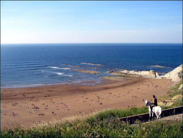 caballo  frente  al mar