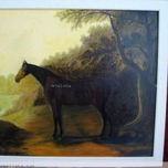 animales thumbnail 1
