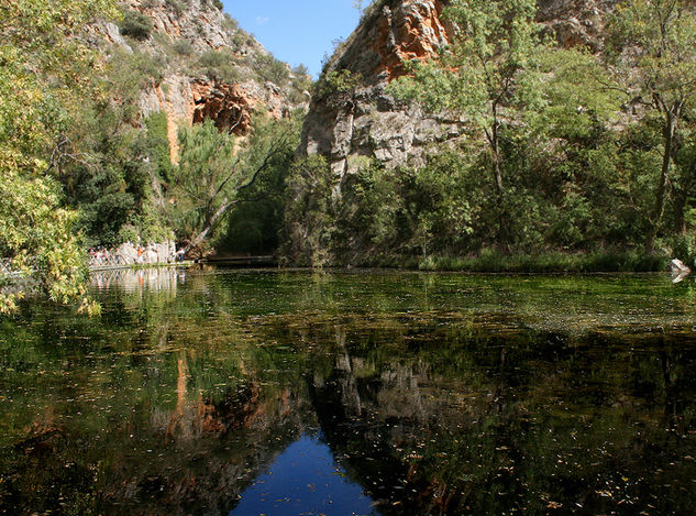 Reflejo (30x40) Naturaleza Color (Digital)