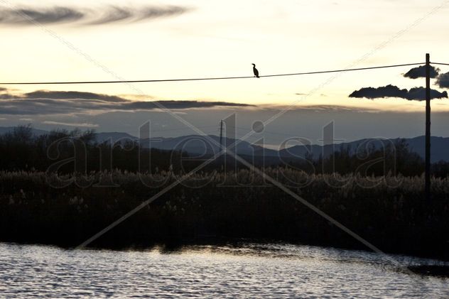 aiguamolls de l'empordà