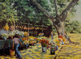 VENTA DE FLORES