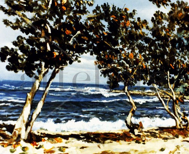 ENTRE UVEROS (LOS CARACAS) Oil Canvas Marine Painting