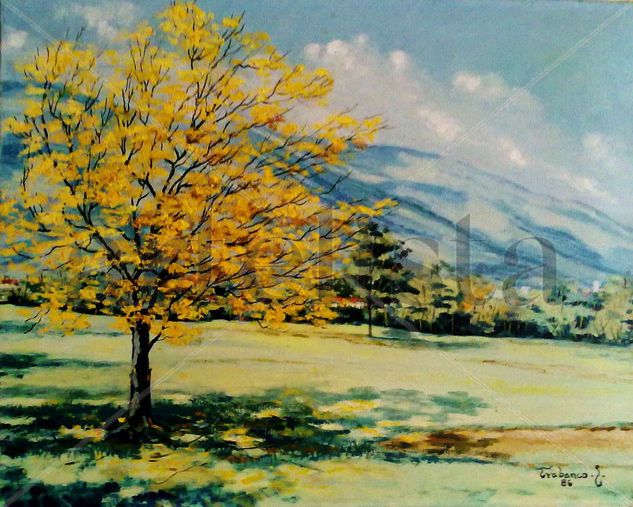 ARAGUANEY Oil Canvas Landscaping