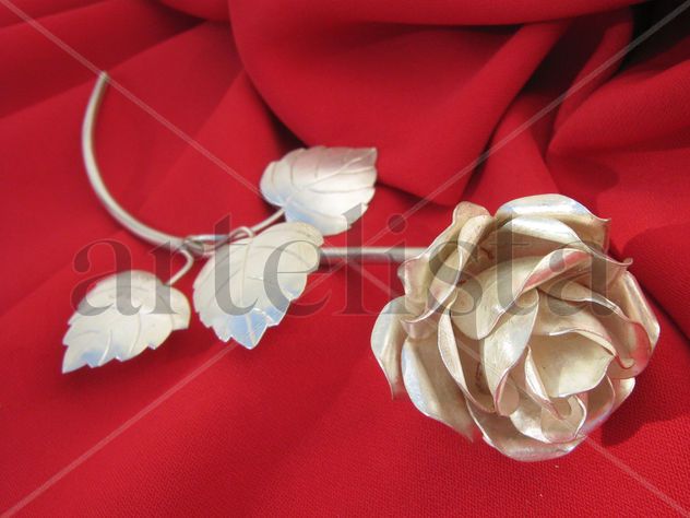 ROSA DE PLATA
