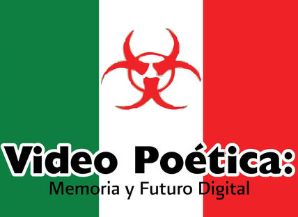 Video poética