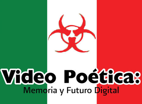 Video poética