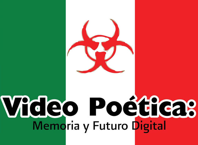 Video poética 