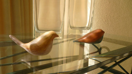 Pájaros