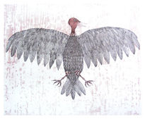 Zopilote