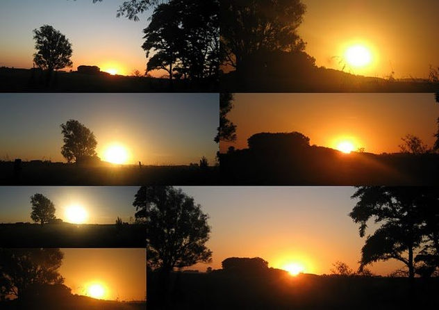 ATARDECER ORO RUBI