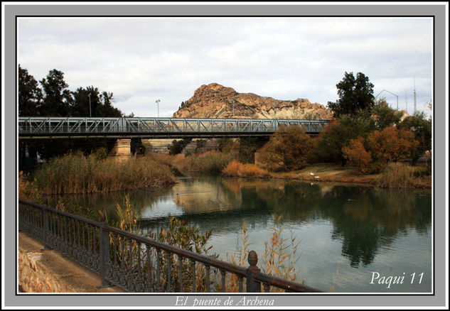 El puente Naturaleza Color (Digital)