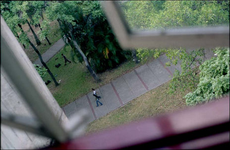 Miscelaneas