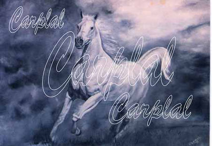 Caballo