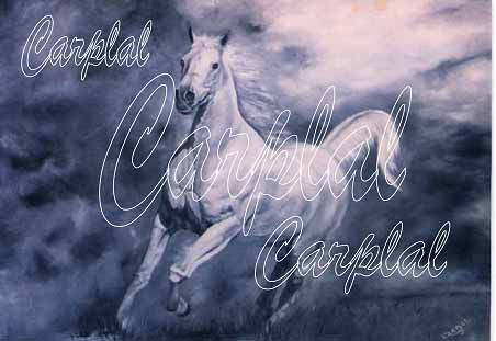 Caballo