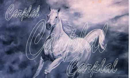 CABALLOS