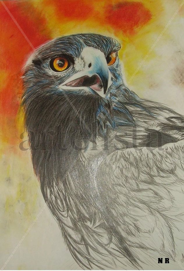 la grandeza del plumaje