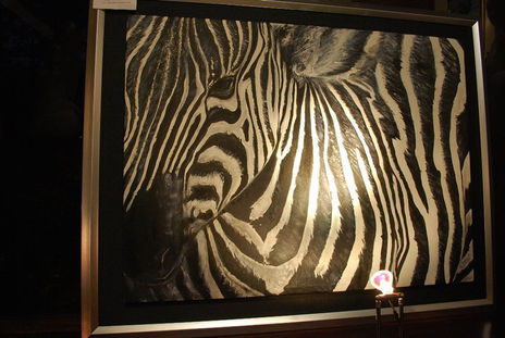 Zebra