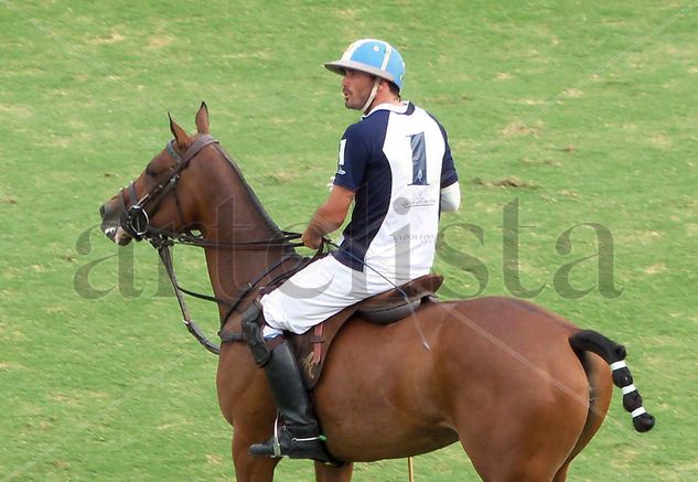 MEJOR POLO DEL MUNDO 2010 -2 Deportiva Color (Digital)