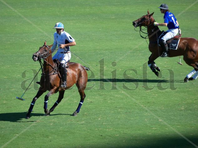 MEJOR POLO DEL MUNDO 2010 -3 Deportiva Color (Digital)