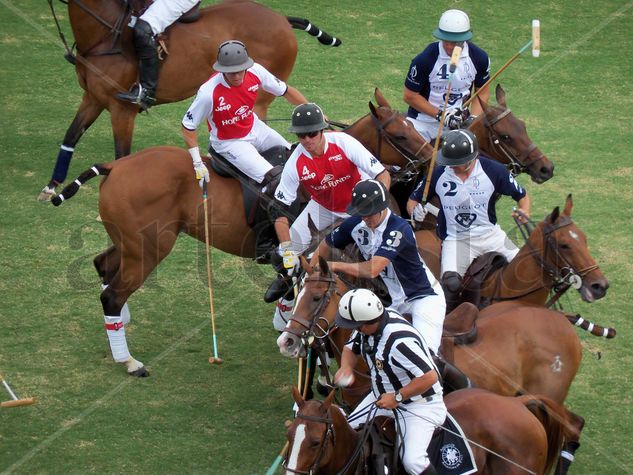 MEJOR POLO DEL MUNDO 2010 -4 Deportiva Color (Digital)