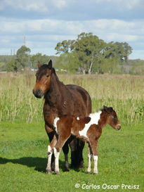 Zaina  y tobianito