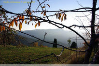 Sant Bernat (Montseny)