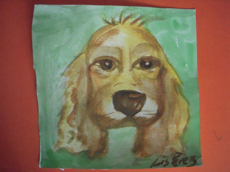 Mi perro Odi